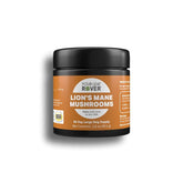 Lion's Mane - Organic Mushroom Extract